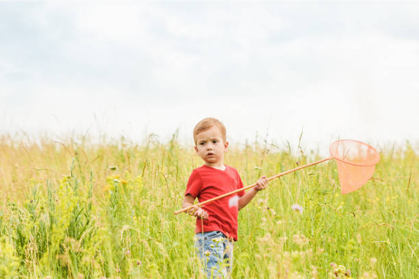 istock Little boy with a butterfly net on a summer meadow 802644318