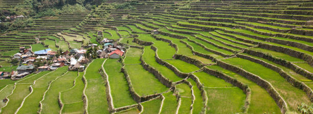 istock Batad rice field terraces in Ifugao province, Banaue, Philippines 802645834
