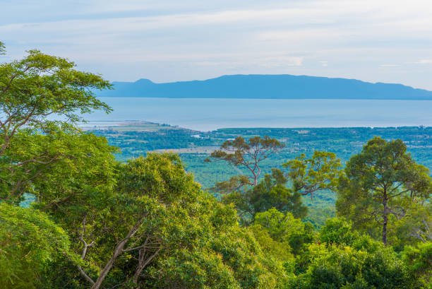 Road in Bokor National Park View from the road in Bokor National Park - tropical trees, sea and distant land on the horizon. Near Kampot, Cambodia. kampot stock pictures, royalty-free photos & images