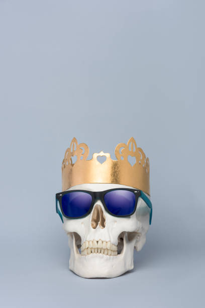 Conceptual shot of hispter human skull wearing sunglasses and golden crown