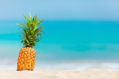 Pineapple on the white sand beach in Hawaii (with copy space). Summer, vacation concept.