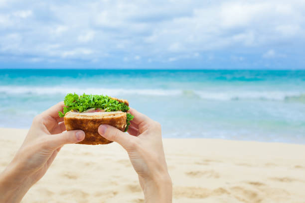 kanapka na plaży - portion turkey sandwich close up zdjęcia i obrazy z banku zdjęć