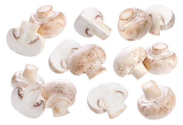 istock Mushroom champignon isolated on white background 802654714