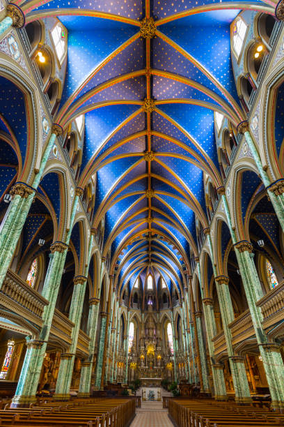 istock Notre Dame Cathedral Basilica 802655086