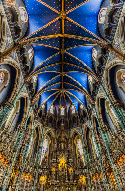 istock Notre Dame Cathedral Basilica 802661572