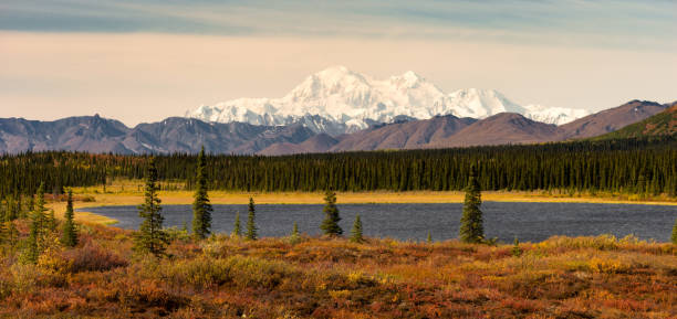 istock Denali Range Mt McKinley Alaska North America 802667362