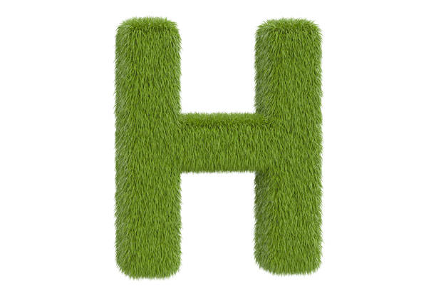 istock Green grassy letter H, 3D rendering isolated on white background 802673806