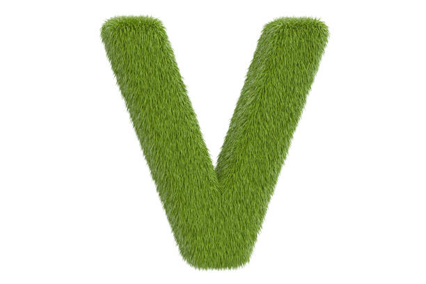 istock Green grassy letter V, 3D rendering isolated on white background 802673830