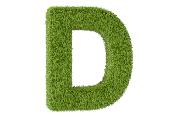 istock Green grassy letter D, 3D rendering isolated on white background 802673832
