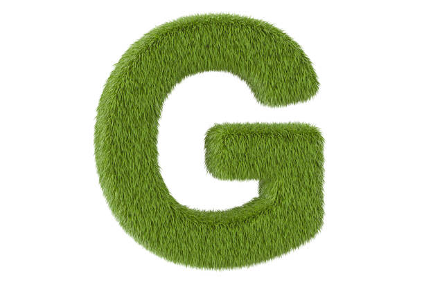 istock Green letter G from grass closeup, 3D rendering isolated on white background 802673896