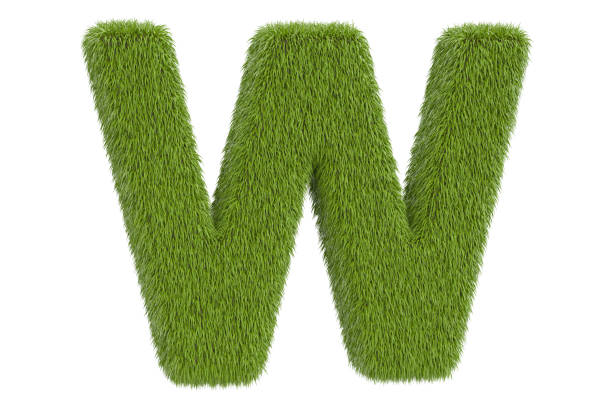 istock Green letter W from grass, 3D rendering isolated on white background 802673978