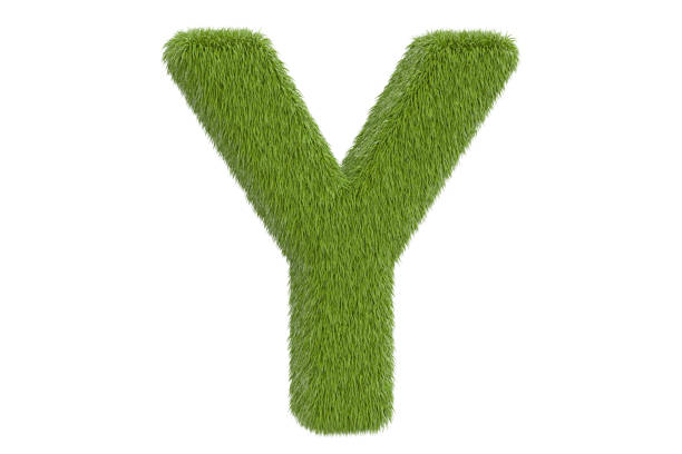 istock Green letter Y from grass closeup, 3D rendering isolated on white background 802673982