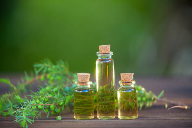 Essence of pine on table in beautiful glass jar stock photo