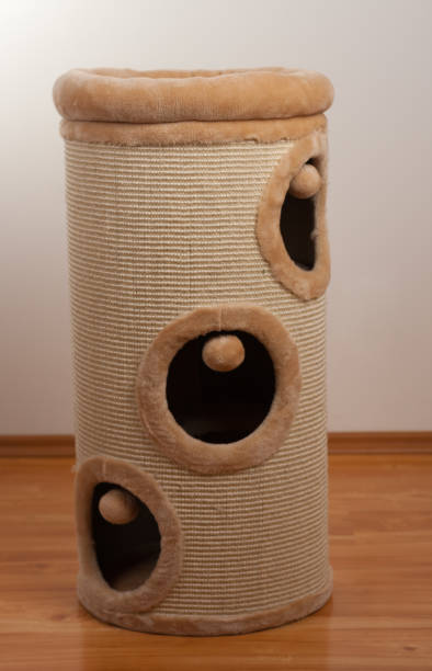 istock Scratching barrel, scratching cylinder for cats. 802698474