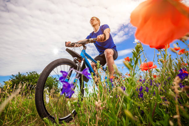 istock Young bicyclist rides on poppy field 802701938