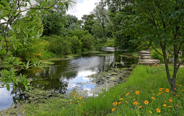 istock Forest Park in St. Louis, Missouri 802722250