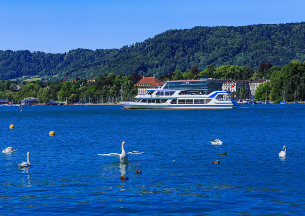 Zurich, Switzerland - 18 June, 2017: Lake Zurich as seen from the city of Zurich with birds in the foreground and MS Pfannenstiel passing in the background. Lake Zurich is a lake in Switzerland, extending southeast of the city of Zurich, which is the largest city in Switzerland.