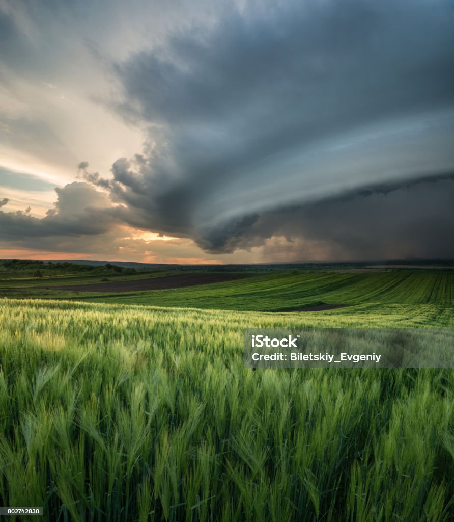 Cyclone on the field. Beautiful natural landscape in the summer time Storm Stock Photo