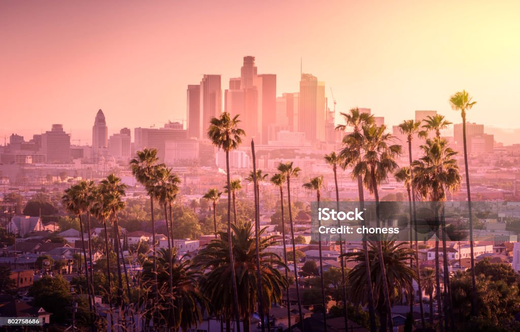Los Angeles skyline Beautiful sunset of Los Angeles downtown skyline and palm trees in foreground City Of Los Angeles Stock Photo
