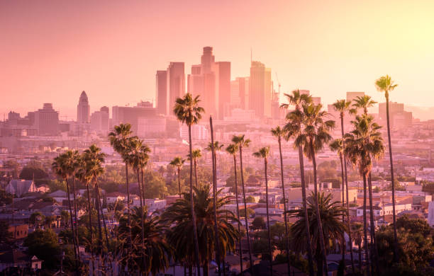 Los Angeles skyline Beautiful sunset of Los Angeles downtown skyline and palm trees in foreground los angeles county stock pictures, royalty-free photos & images