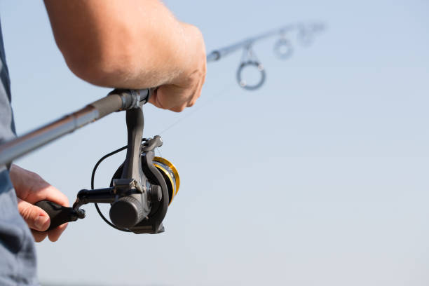 Fishing concepts. fishing reel lake river fisherman holiday fish catching gear tench rod fisher hobbies spinning spin - stock image tinca tinca stock pictures, royalty-free photos & images