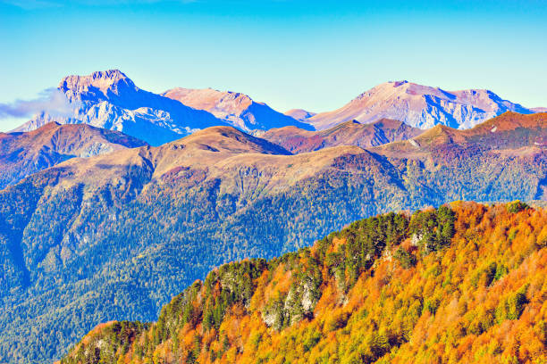 istock Fantastic mountain tops at autumn evening time. 802780186