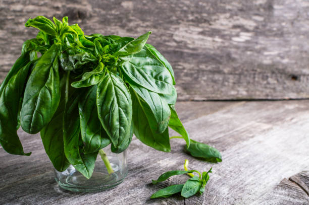 istock Green fresh organic basilic on the wooden table. Rustic style 802798894