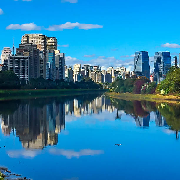 istock Sao Paulo Rio Pinheiros 802809494