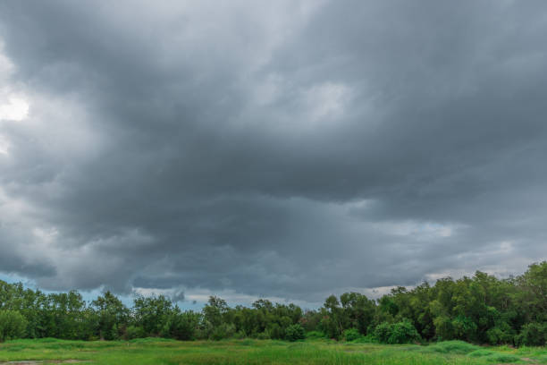 istock Rain clouds over the forest before a storm in rainy season. 802810064