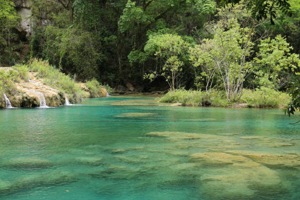 istock Semuc Champey natural swimming pools, Guatemala 802810078