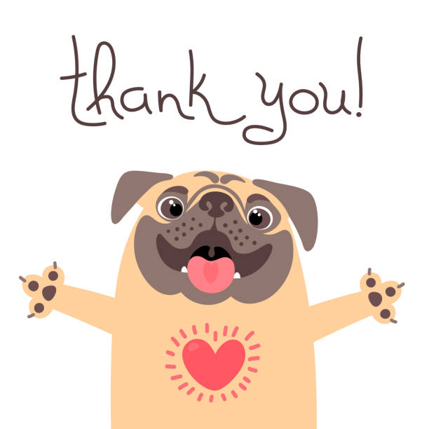 милая собака говорит спасибо. мопс с сердцем, полным благодарности - animal cartoon characters cheerful stock illustrations