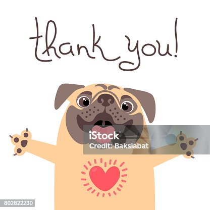 istock Cute dog says thank you. Pug with heart full of gratitude 802822230