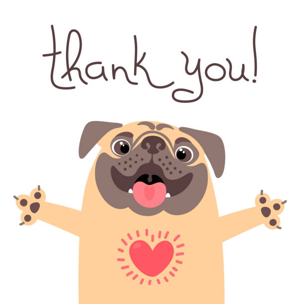 Cute dog says thank you. Pug with heart full of gratitude Cute dog says thank you. Pug with heart full of gratitude. Vector illustration. cute love stock illustrations