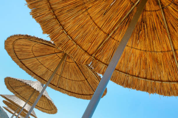 istock Beach umbrellas made of straw at blue sky background 802835946
