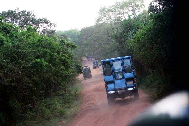 istock safari in Yala national park 802838354