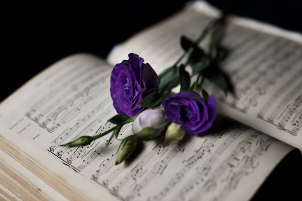 istock Purple Lisianthus stems laying on sheet music 802846360
