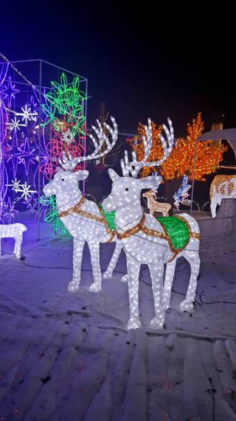 istock LED reindeer at Christmas Festival 802846430