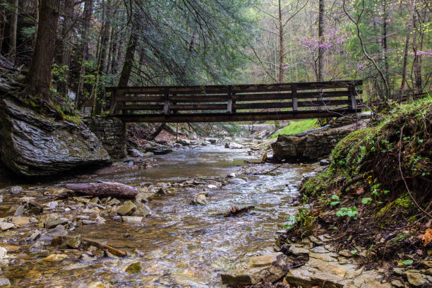 istock Kentucky Forest Landscape Panorama 802846602