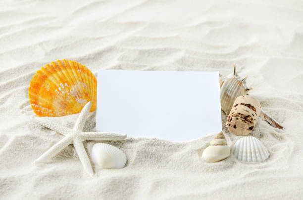 istock Blank white paper with starfish and seashells on white sand 802856938