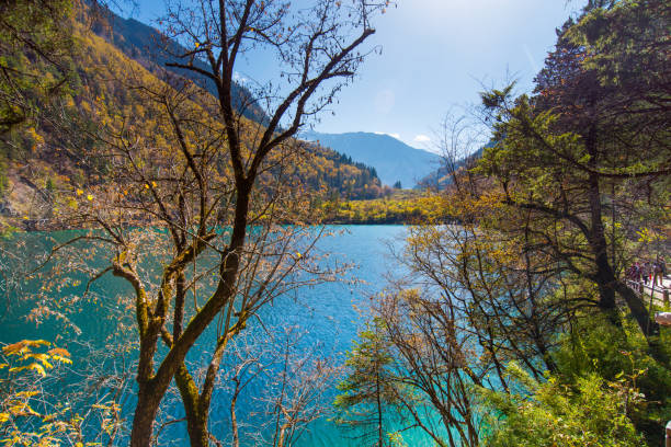 istock Jiuzhaigou nation park 802860012