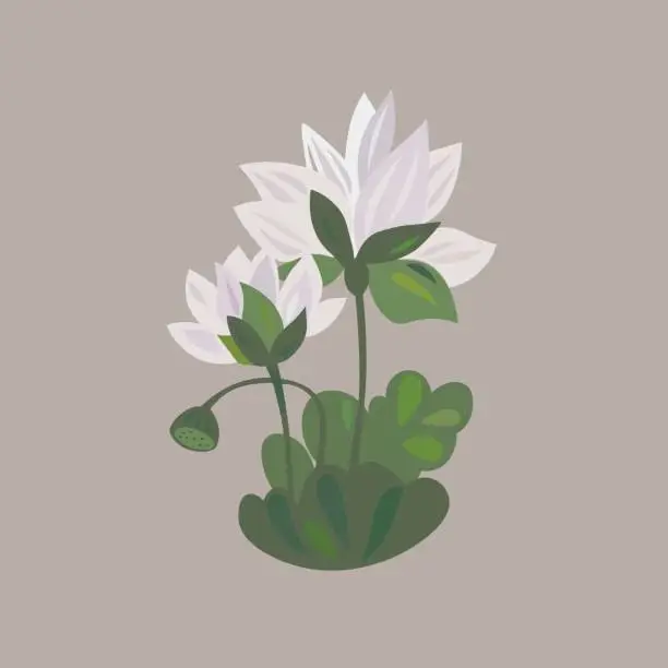 Vector illustration of lotus water lily flower icon