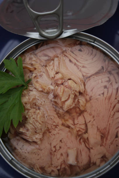 istock Canned tuna in oil 802888886