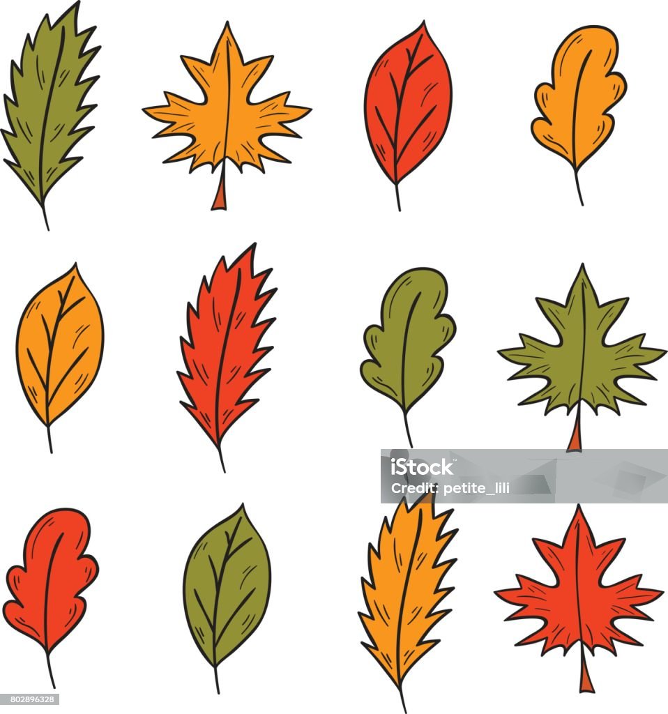 Ilustración de Hojas De Árbol Otoño Dibujado Mano De Dibujos Animados Vector y más Vectores Libres de Derechos de Abstracto - iStock Ilustración de Hojas De Árbol Otoño Dibujado Mano De Dibujos Animados Vector y más Vectores Libres de Derechos de Abstracto - iStock