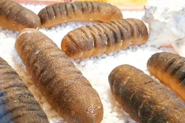 Dried sea cucumber, a delicacy in Chinese cuisine for its nutrition value in preserving youthful