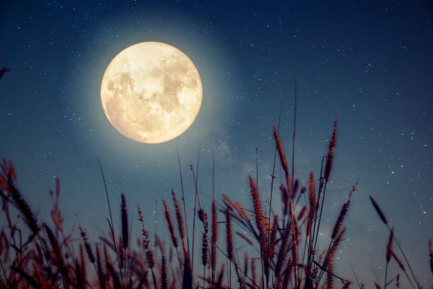 istock Beautiful autumn fantasy 802899600