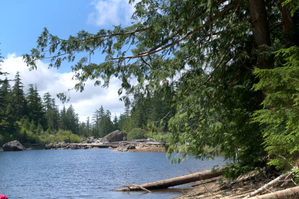 istock Barklay Lake during the Day 802909922