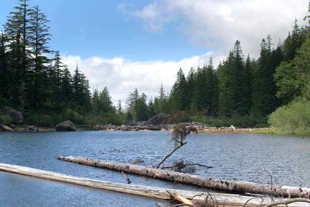 Barklay Lake during the Day