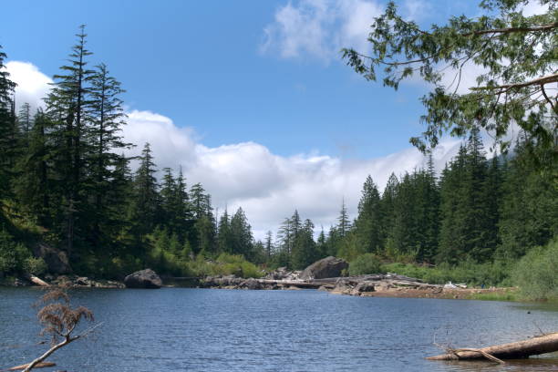istock Barklay Lake during the Day 802910128