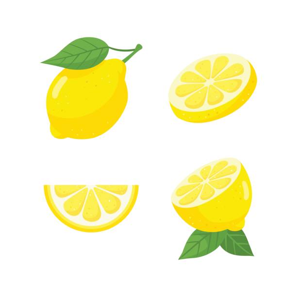 illustrazioni stock, clip art, cartoni animati e icone di tendenza di set di frutta al limone fresca - lemon