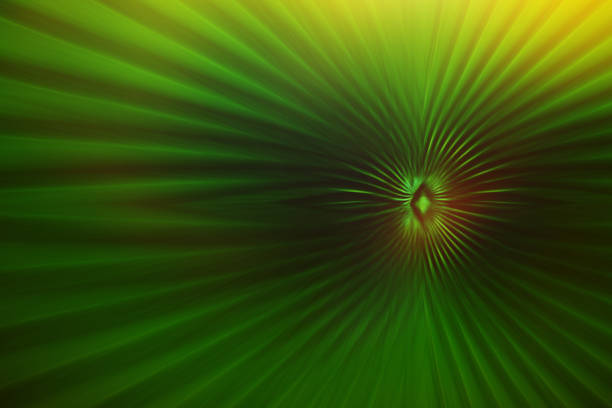 istock green stripe plam leaf for abstract nature background, soft tone. 802917722
